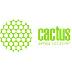Гироскутеры Cactus